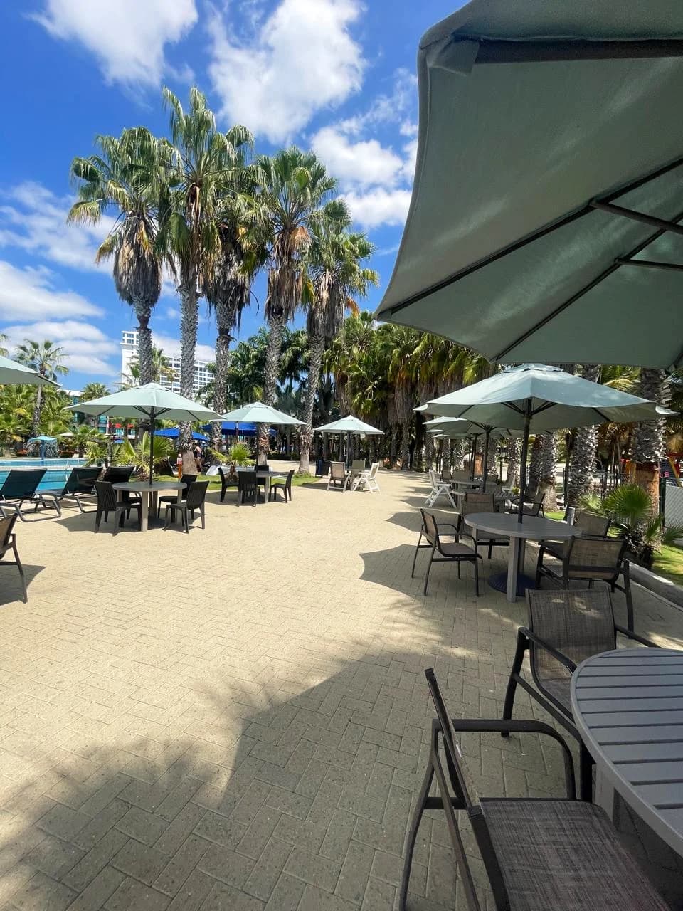 Playa Privada & Club — 5