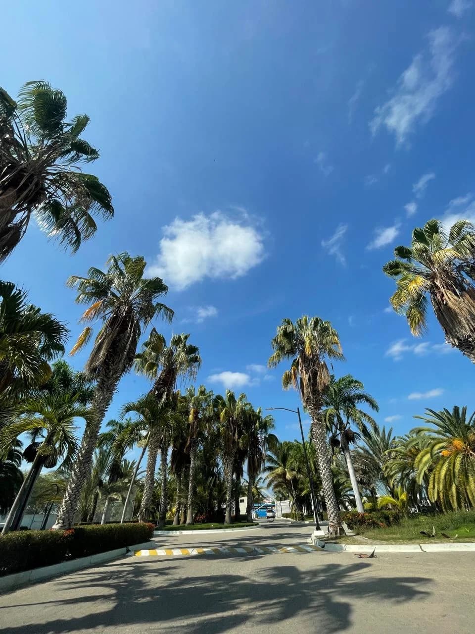 Playa Privada & Club — 12